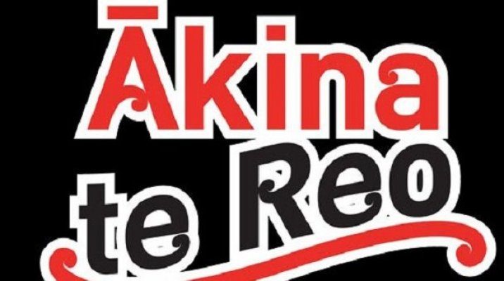 Image, logo for the theme of Māori Language Week 2016, Ākina te Reo — behind you all the way.