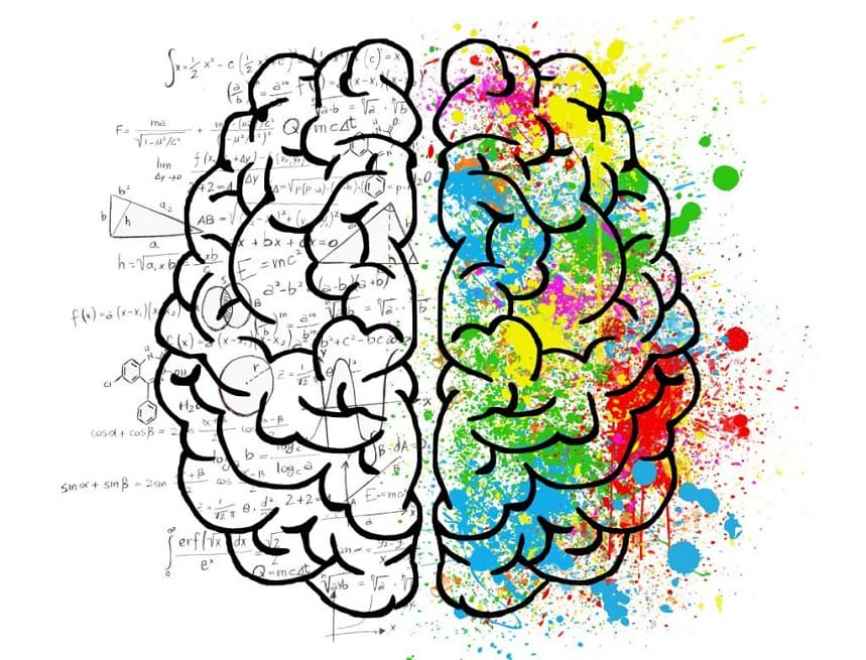 Image, Drawing of a brain, showing the 'analytical side' and the 'creative side'.
