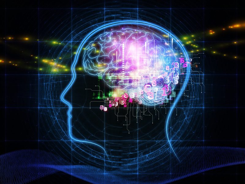 Image, inside brain.