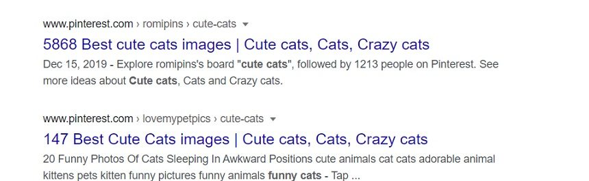 Image, front page of a Google search for cute cats