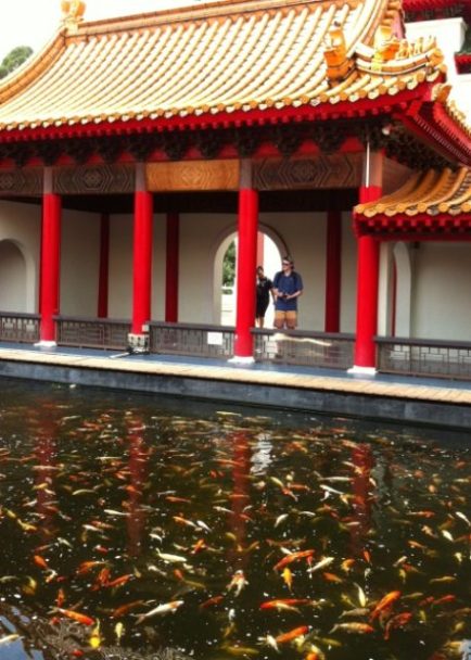 Image: Koi carp in pond at Chinese Garden, Singapore.