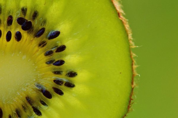Image, close-up of a kiwifruit.