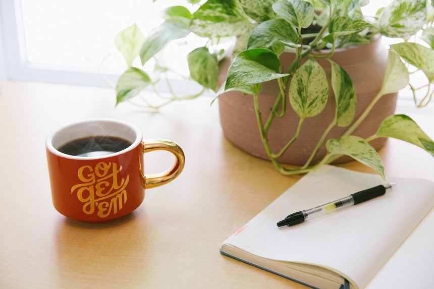 Image, coffee cup, plant, diary, and a pen on a table in front of a sunny window