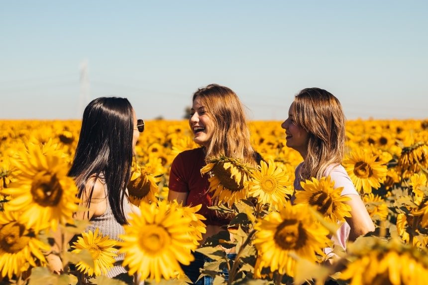 Three women laughing in a yellow sunflower field during daytime.