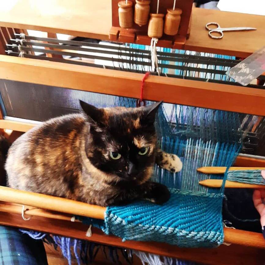 Image, tortoiseshell cat sitting on a 4-shaft table loom