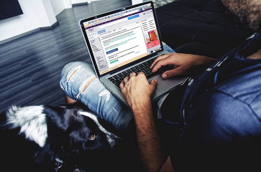 Image, Dog looking up at a person using a laptop.
