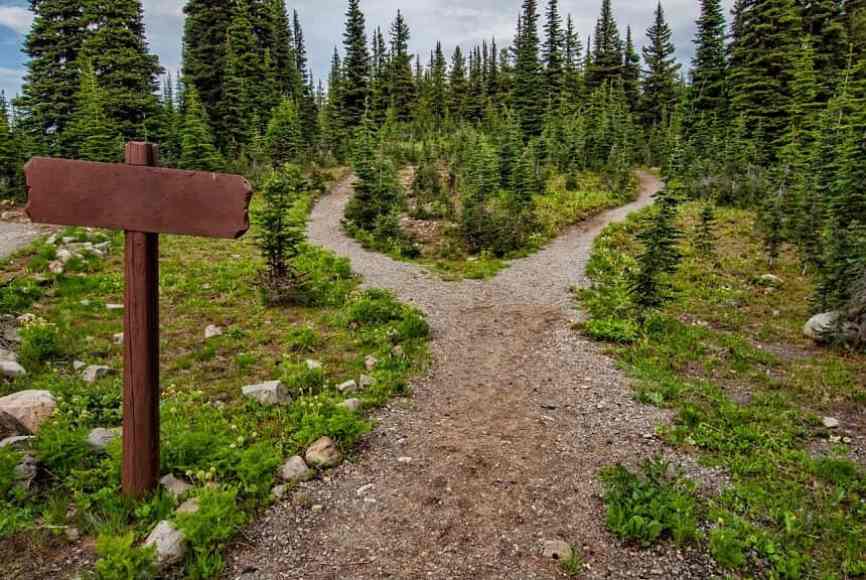 Image, Forked pathway with a blank signpost to one side.